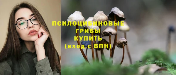 mdpv Киренск
